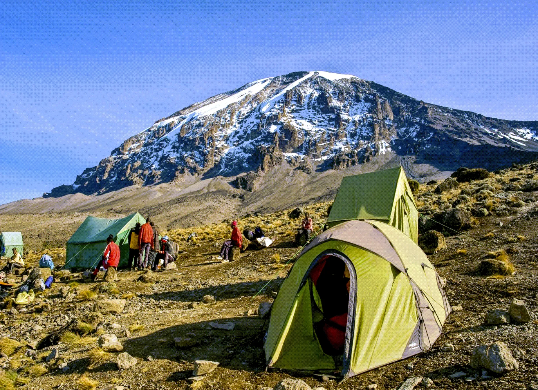 Kilimanjaro Nature Walk & Picnic
